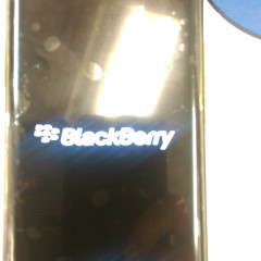 blackberry-venice-aa-71.jpg