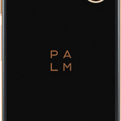 1554410722_palm-phone-gold-back.jpg