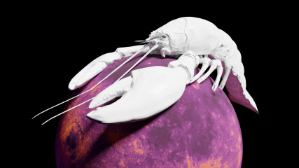 1678900103_lunar-lobster-side-light-8-bit.jpg