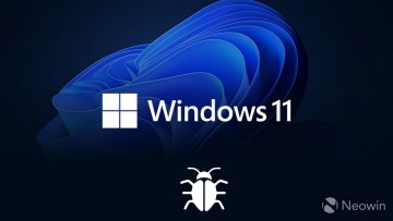 1653147028_windows_11_bug_(source-_sayan_s)